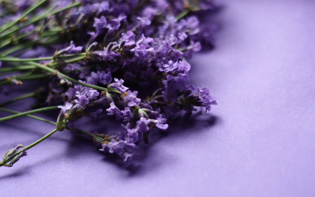 Scented Serenity: Rediscovering the Enchantment of Aromatherapy